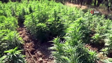 Diyarbakır’da terörün finans kaynakları kurutuluyor