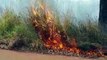 Corpo de Bombeiros combate incêndio no Florais do Paraná
