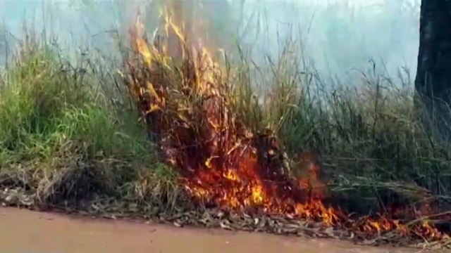 Corpo de Bombeiros combate incêndio no Florais do Paraná