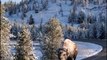 Des touristes croisent un bison couvert de neige dans le parc Yellowstone