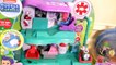 Bubble Guppies Check-Up Center Playset Guppie Toy Surprise by Fun Toys Collector