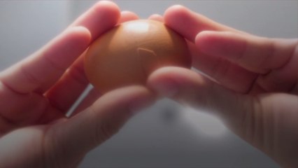 5 Things You Don't Know About Storing Eggs