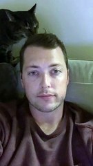 Caring Kitty Grooms Owner Every Night