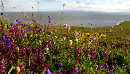 Arctic Secrets - Mackenzie Delta
