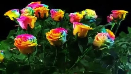 _That_prayer_pleases_Allah যে_দুআয় আল্লাহ খুশি হন