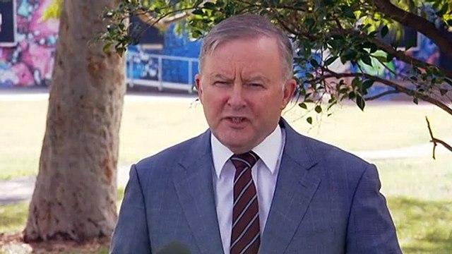 Albanese calls for RAAF to bring stranded Australians home