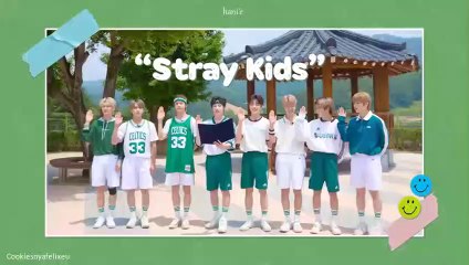 [INDO SUB] STRAY KIDS  STAY IN PLAYGROUND  2ND PHOTOBOOK (DVD)