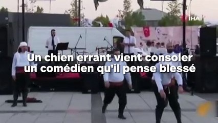 Un chien errant vient réconforter un homme tombé à terre...