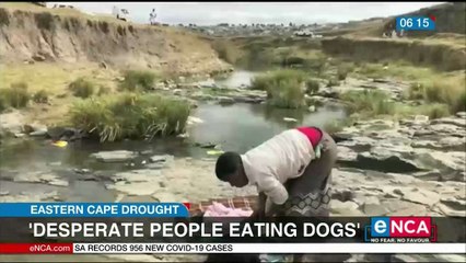 'Desperate people eating cats and dogs'