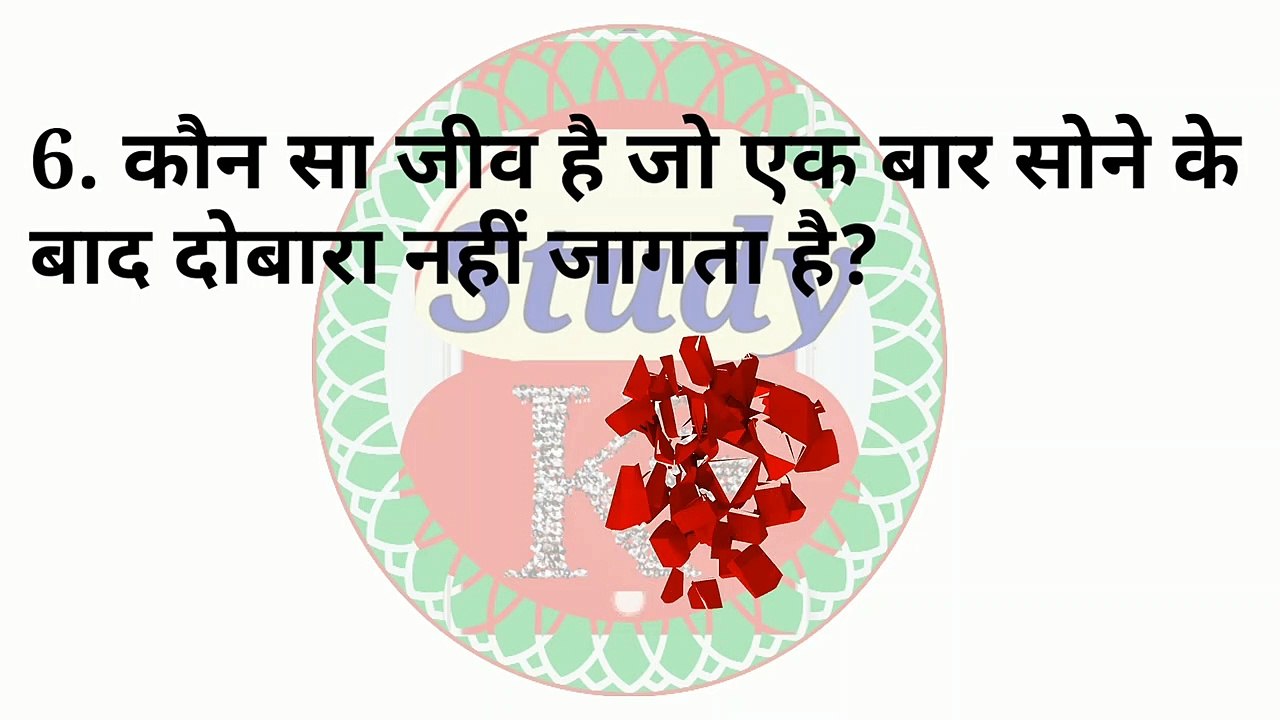 Interesting and amazing questions | मजेदार प्रश्न | interesting GK GS | most important GK GS