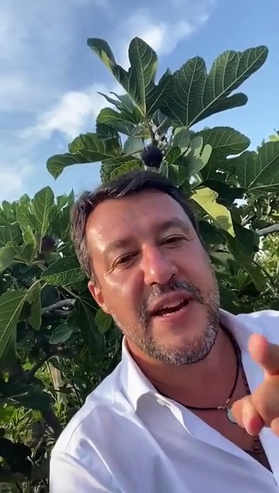 MATTEO SALVINI- FICHI PUGLIESI, CHE SPETTACOLO. FARE LA SPESA E UN ATTO POLITICO, COMPRIAMO ITALIANO