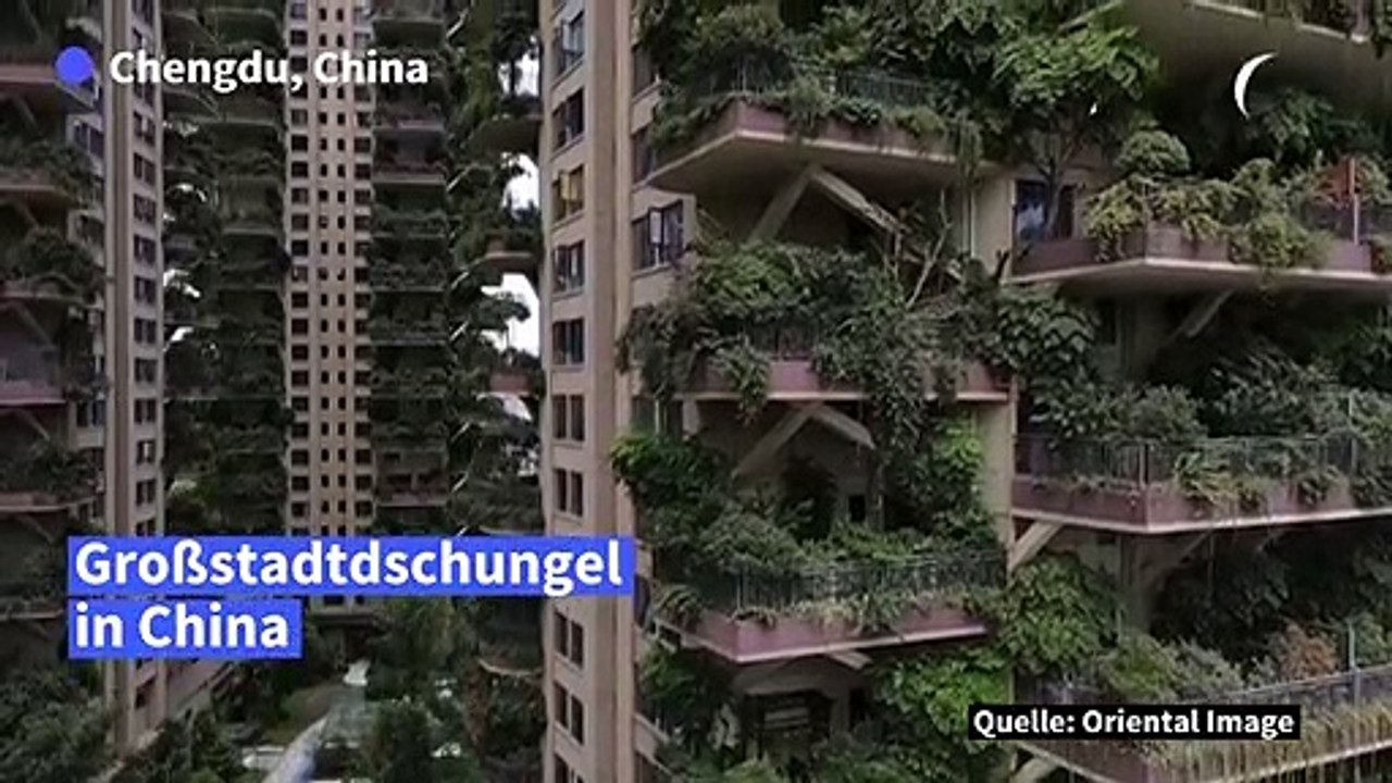 Großstadt-dschungel: hochhäuser als vertikale gärten