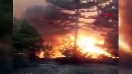 Çorum'da orman yangını sürüyor