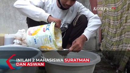 Demam Ikan Cupang Jadi Solusi Ekonomi di Masa Pandemi