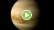 El último nuevo descubrimiento: Venus podría albergar vida
