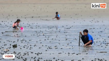 Sambil menunggu pelancong di Sabah, hidup perlu diteruskan