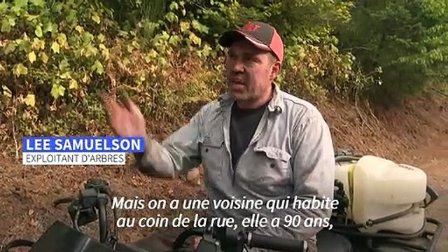 Dans l’Oregon, des fermiers attribuent les incendies à la gestion des forêts