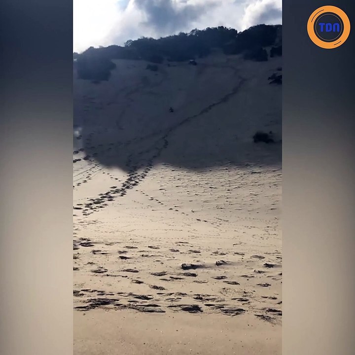Il dévale une dune de sable et manque de se cas...