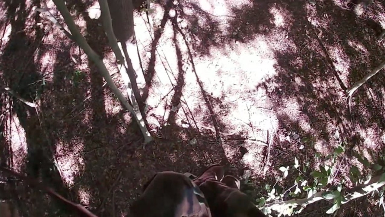 Bow Hunter Has Dangerously Close Call With Stray Bullets