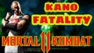 #KANO fatality #Mk fight #Mortal kombat game #Gamer