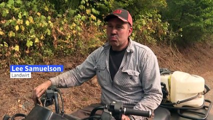 Waldbrände in den USA: Wer ist schuld?