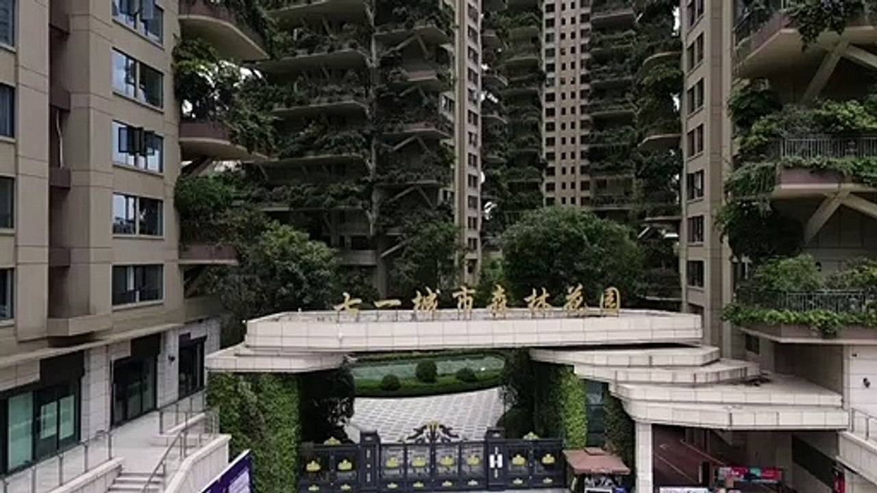 Selva na cidade