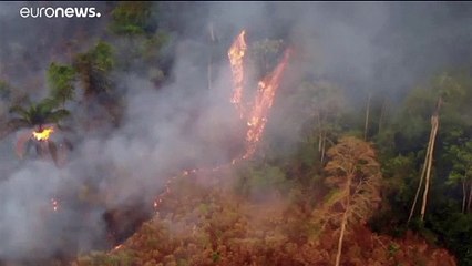 Másfél millió hektár égett le hat hét alatt Brazília gigantikus trópusi mocsaránál