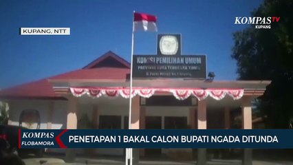 Terpapar Corona, Penetapan 1 Pasangan Bakal Calon Bupati Ngada Ditunda