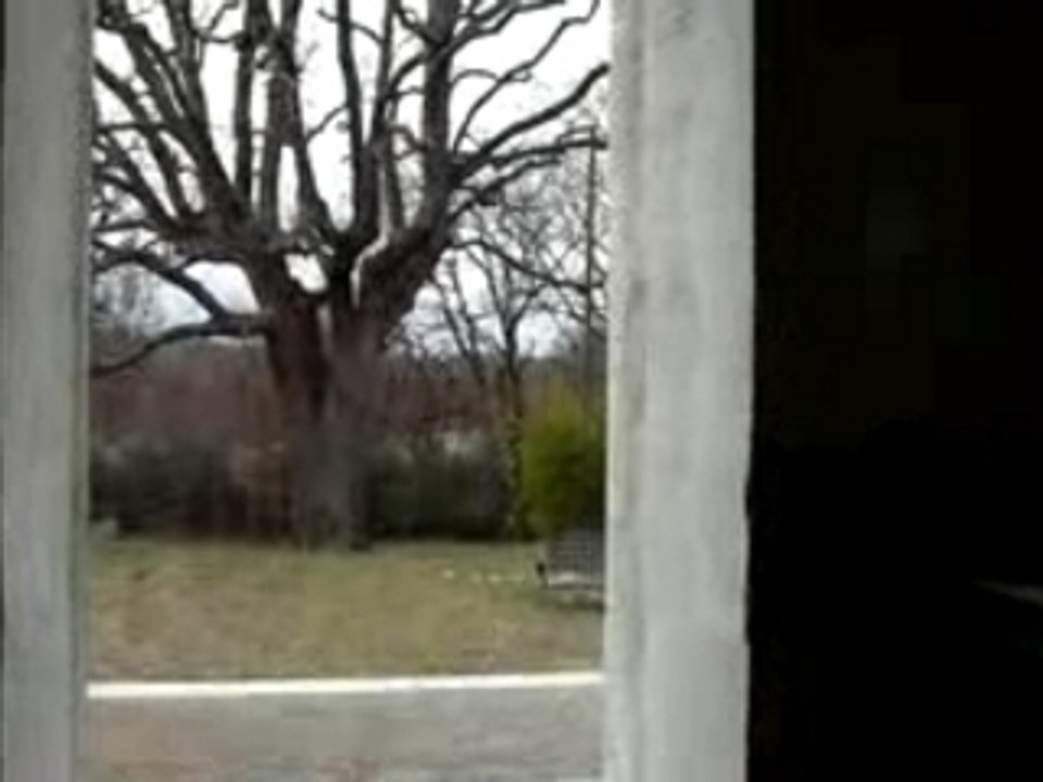 Le petit Mousse travaux cuisine