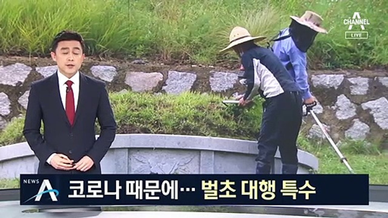 코로나19 감염 우려에…벌초 대행 서비스 이용 늘어