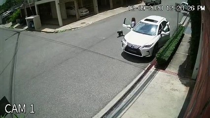 Mariasela Álvarez y su hija fueron víctimas de atraco  