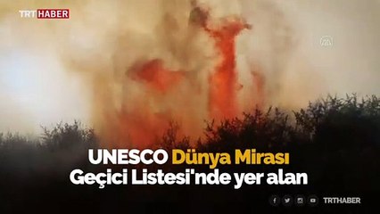 Kızılırmak Deltası Kuş Cenneti'nde yangın