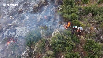 Forest fires devastate northwest Syria's Latakia