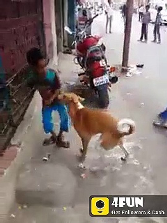 New Funny Video 2020