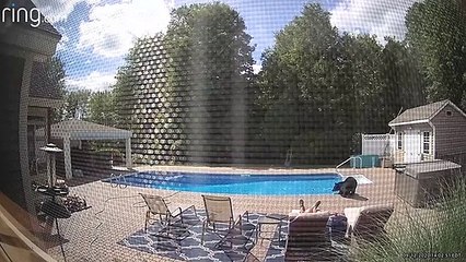 Visite surprise au bord d'une piscine