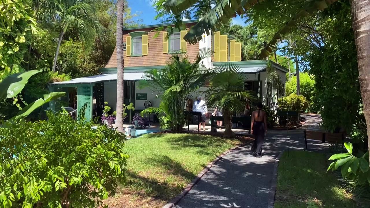 Hemingways katzen werden zu touristenmagneten