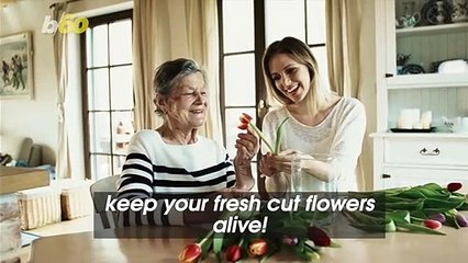 4 Surprising Uses for Bleach You Should Try!