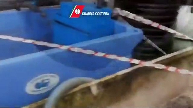 Puglia: titolare ristorante rischia arresto per aver spacciato pangasio per pesce persico . Nel barese sequestrato anche pesce è scaduto, multa da 4500 euro a sala ricevimenti