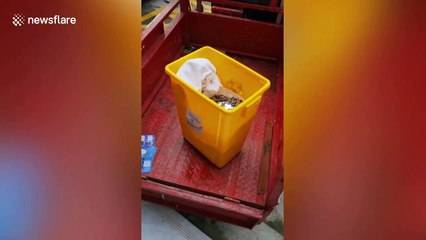 Chinese beauty clinic pays employee's £700 compensation in COINS after they resign