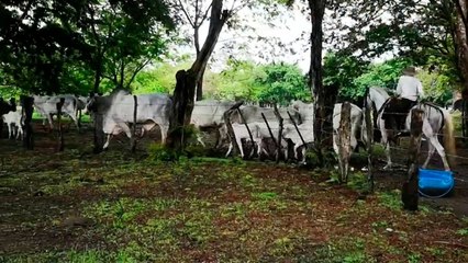 bd-cinco-razones-por-las-que-costa-rica-es-un-paraiso-150920