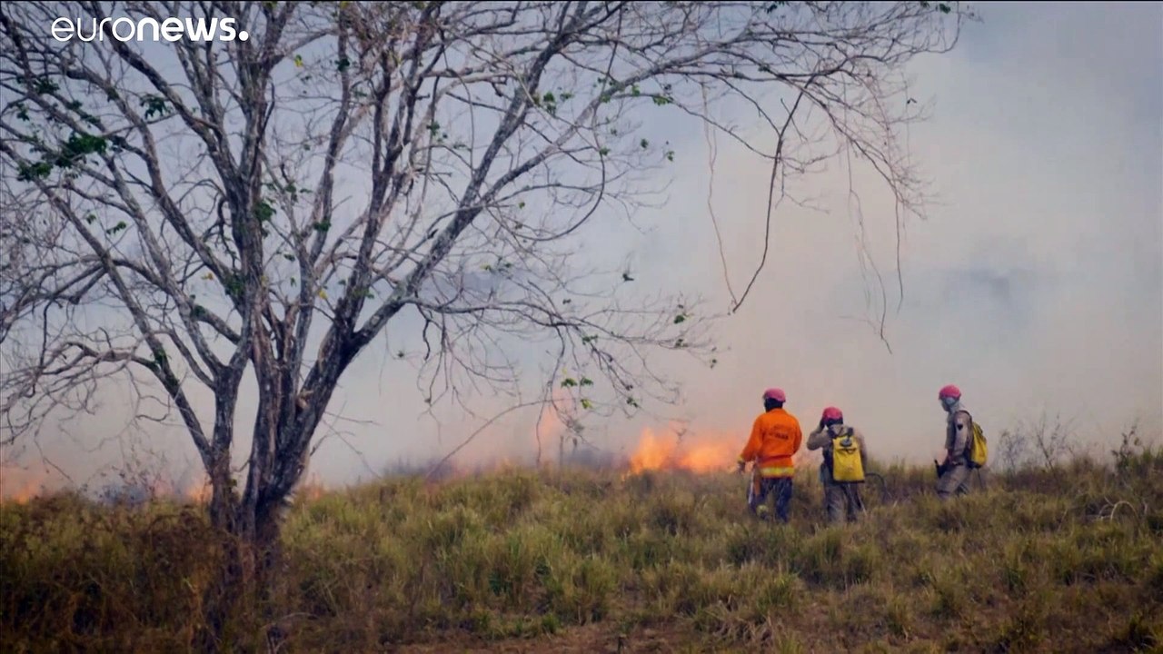 Brasilien: 10 Prozent des Pantanal zerstört - und es brennt weiter