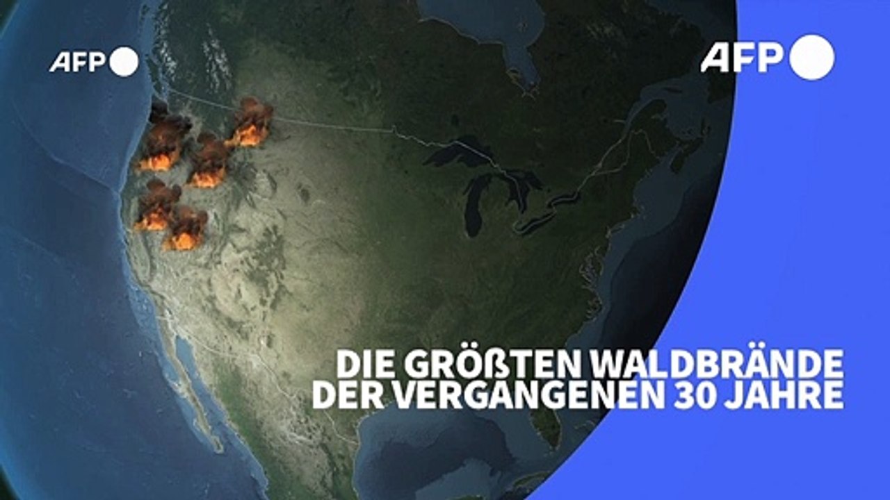 Videografik: Die größten Waldbrände der vergangenen 30 Jahre