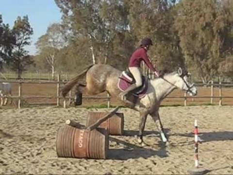 Séance de saut avec Mariposa