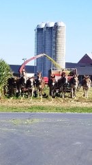 Corn Harvest Coordination
