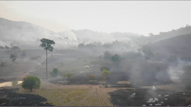 Brazil: World's largest wetland faces record wildfires