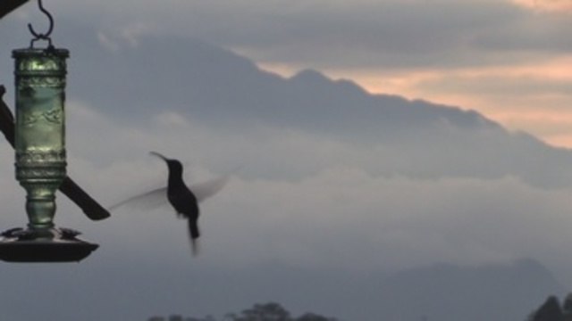 El turismo hondureño se recupera lentamente tras la afectación por COVID-19