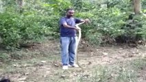 Good news: Meet the man who rescues around 100 snakes a month