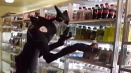 Image of the day: Seven-foot tall robot stacks convenience store shelves in Tokyo