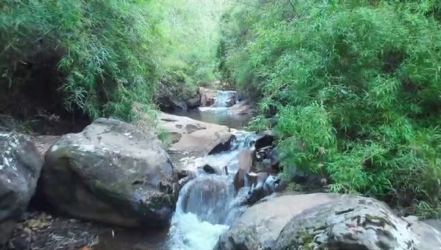 ✨ New song music✨ rhinoceros электронная музыка; musique électronique Lo más nuevo official sound have your hear this?✨Música electrónica ✨electronic music