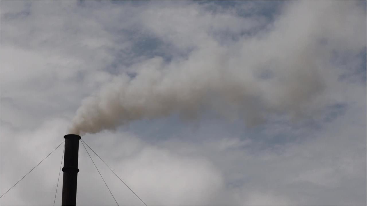 Study: Air pollution increases stroke risk in people with AFib